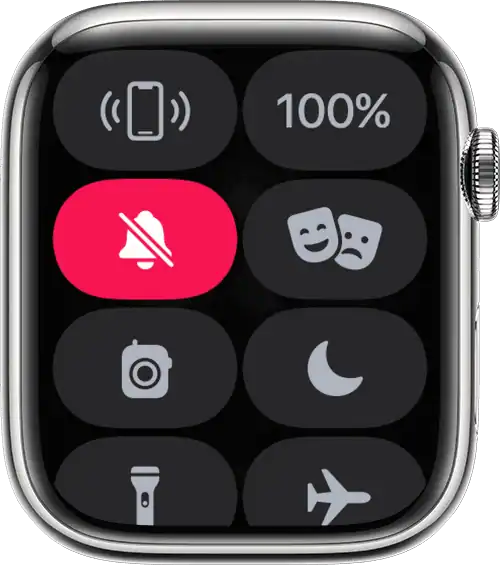 Apple Watch Do Not Disturb Mode